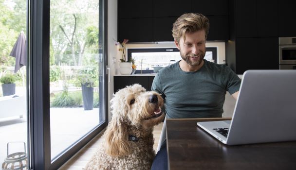 Man working on a computer while petting his dog
