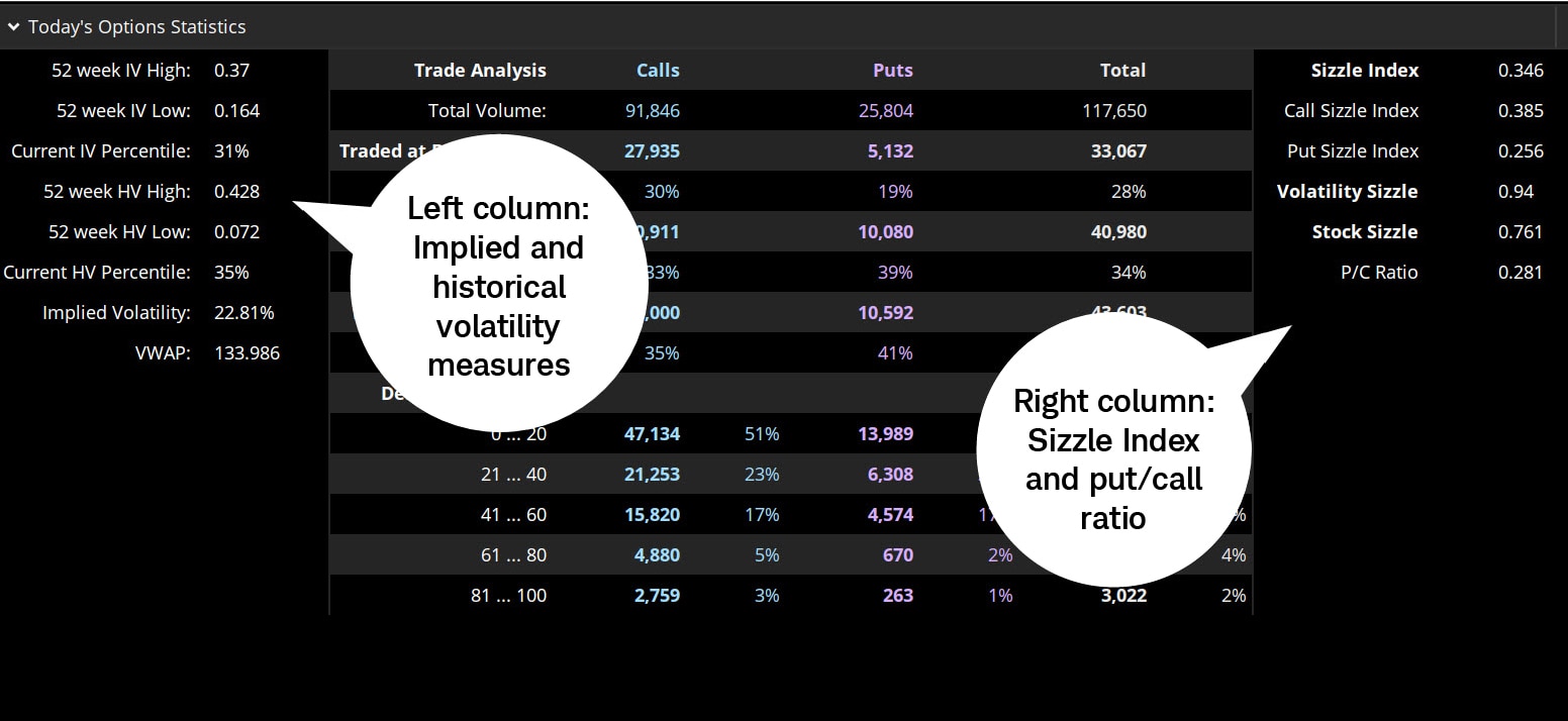 Image demonstrates Today's Options Statistics including implied and historical volatility, the Sizzle Index, and the put/call ratio. 