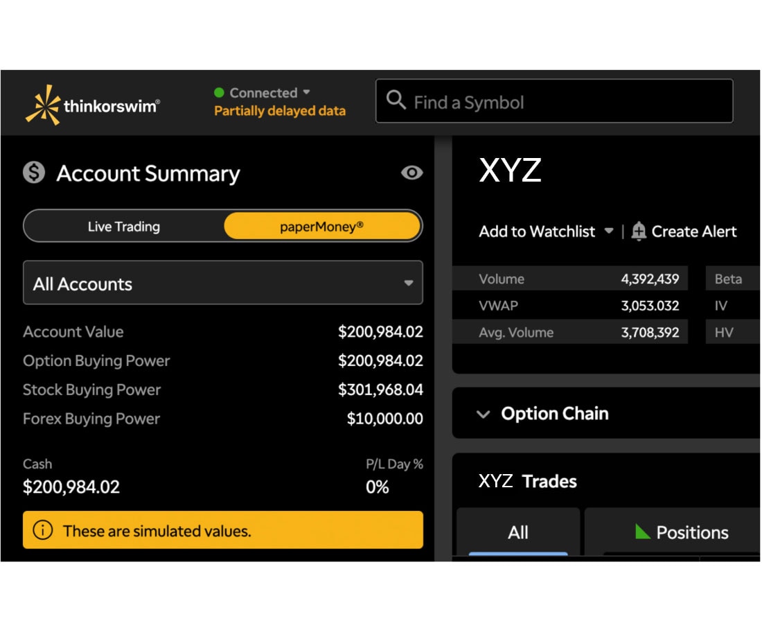 Screenshot of the virtual trading environment on paperMoney 