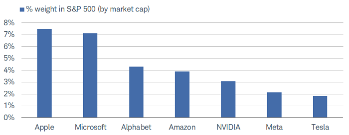 The Mag7 accounts for 30% of the S&P 500's market cap weighting.