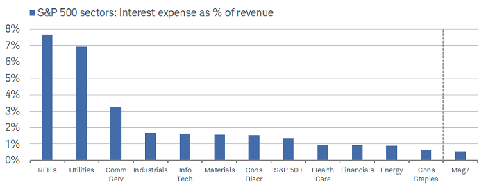 The Mag7, if it were its own sector, would have the lowest interest expense as a percentage of revenue.