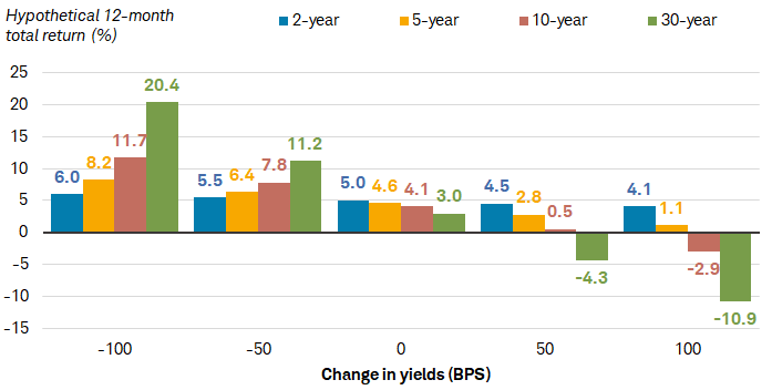 Chart shows the hypothetical 12-month return in percent for 2-year, 5-year, 10-year and 30-year bonds based on various changes in yield. Those yield levels are negative 100 basis points, negative 50 basis points, zero change, positive 50 basis points and positive 100 basis points.