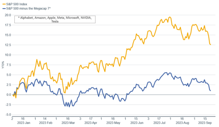 Line chart shows year-to-date performance of the S&P 500 Index, and the same index excluding the Megacap Seven stocks.