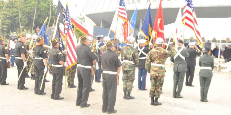 Vets7