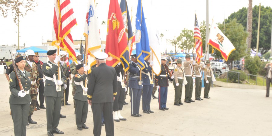 Vets9
